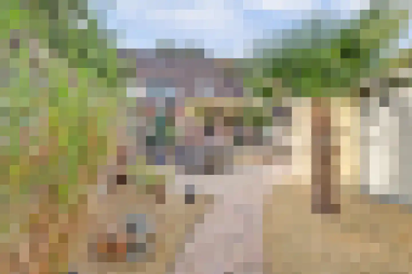 Buizerdhorst 61 Cuijk thumbnail 5