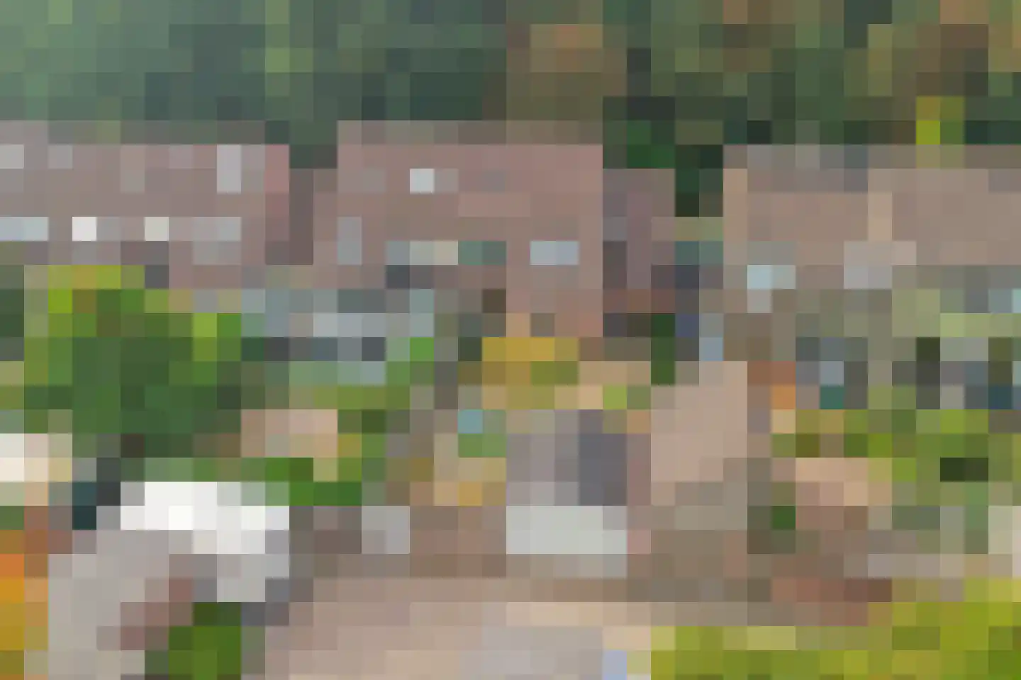 Buizerdhorst 61 Cuijk thumbnail 51