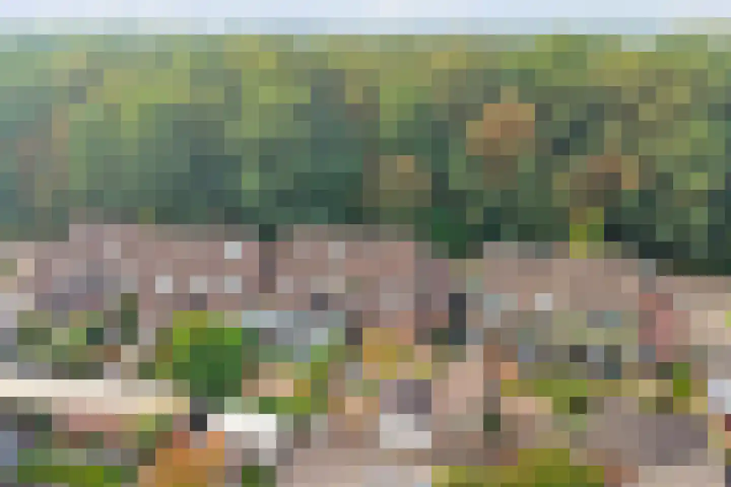 Buizerdhorst 61 Cuijk thumbnail 52