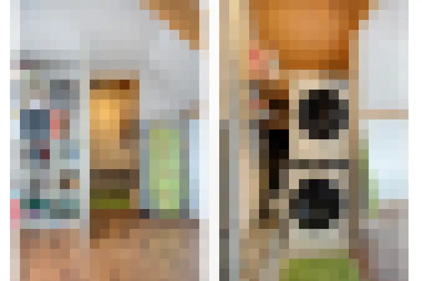 Buizerdhorst 7 Roermond thumbnail 26