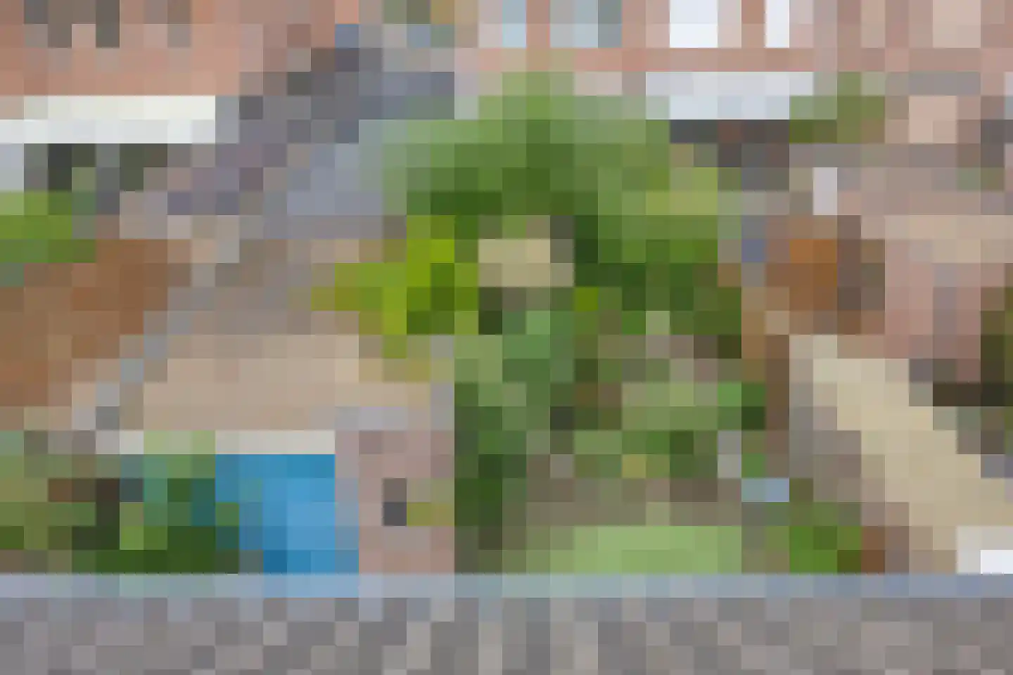 Buizerdhorst 7 Roermond thumbnail 27