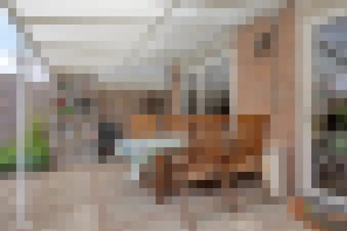 Buizerdhorst 7 Roermond thumbnail 30