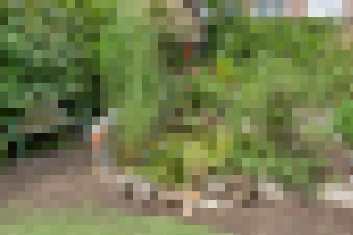 Buizerdhorst 7 Roermond thumbnail 31