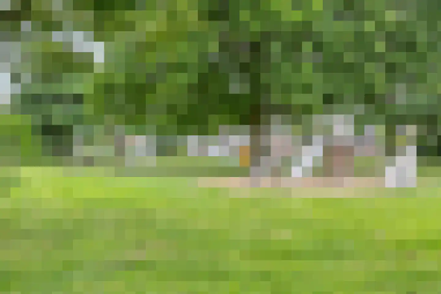Buizerdhorst 7 Roermond thumbnail 36