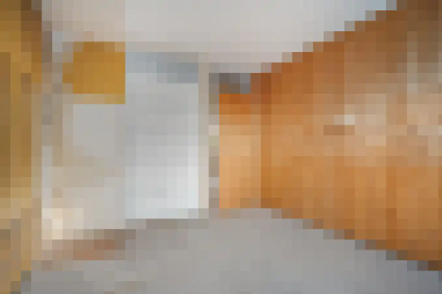 Buizerdlaan 117 Hoogeveen thumbnail 25