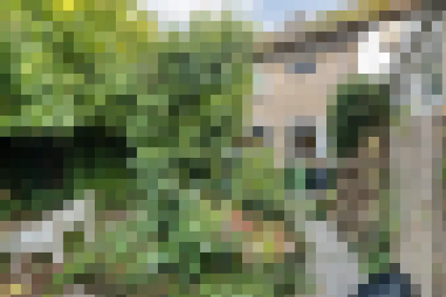 Buizerdlaan 117 Hoogeveen thumbnail 33