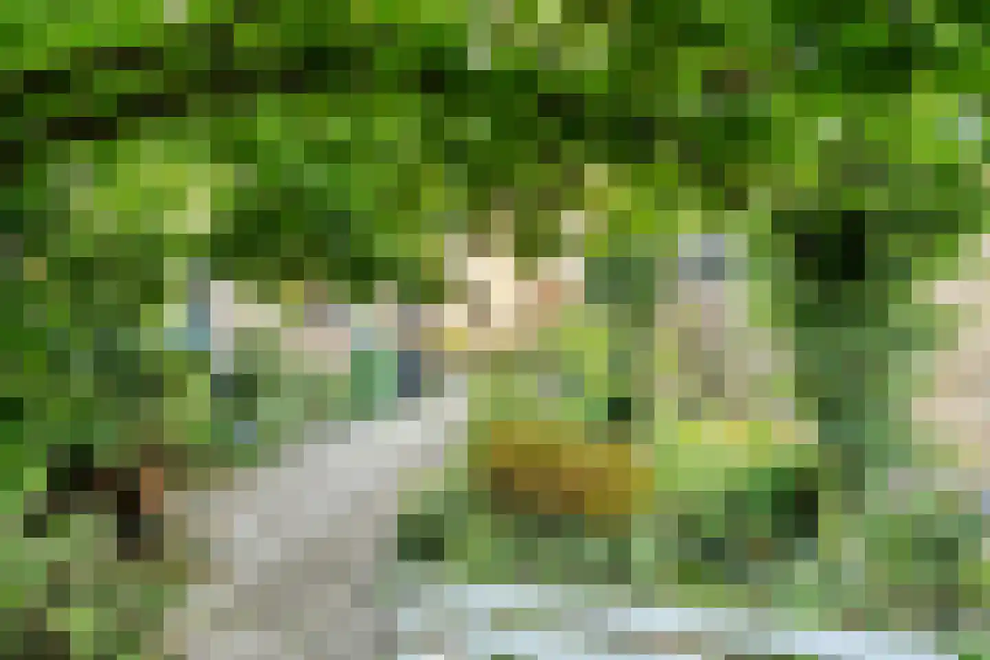 Buizerdlaan 117 Hoogeveen thumbnail 34