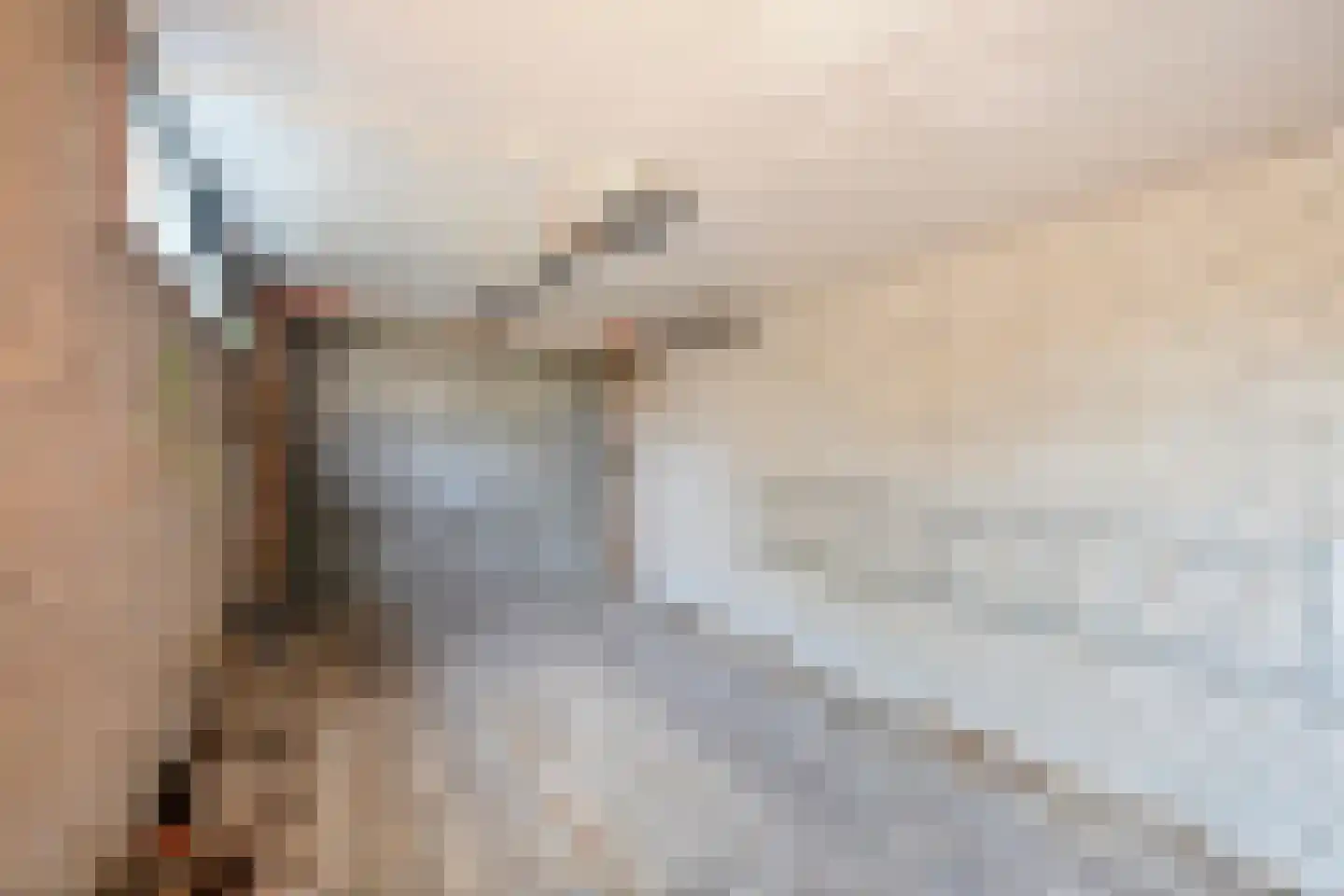 Buizerdlaan 117 Hoogeveen thumbnail 36