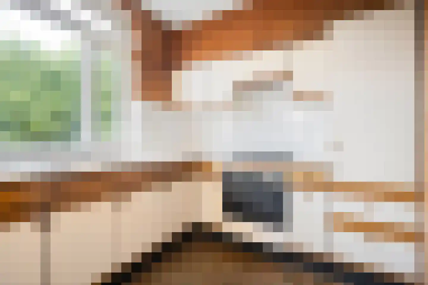Buizerdlaan 117 Hoogeveen thumbnail 4