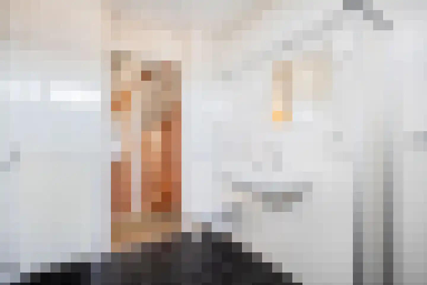 Buizerdlaan 117 Hoogeveen thumbnail 5
