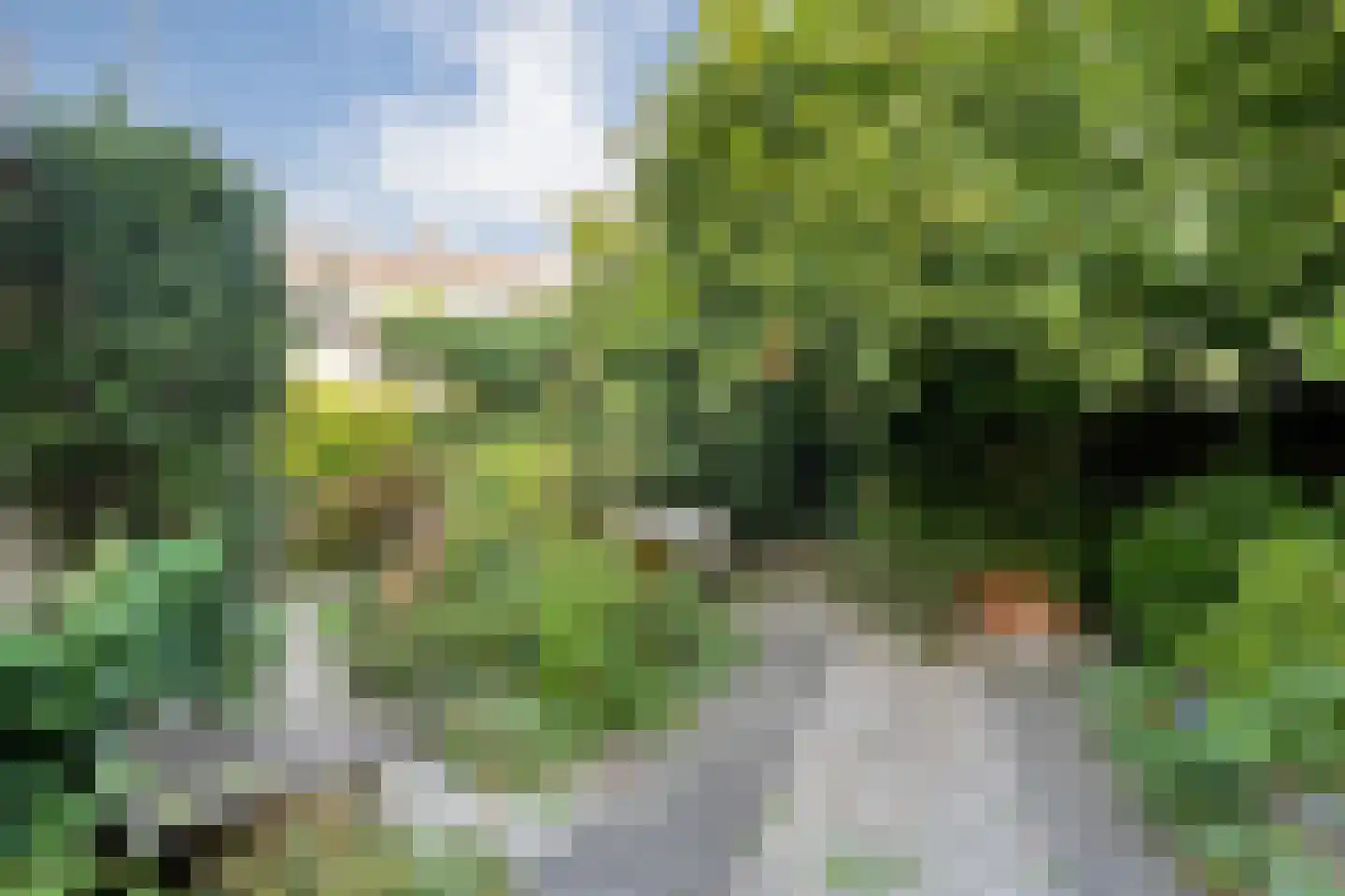 Buizerdlaan 117 Hoogeveen thumbnail 7