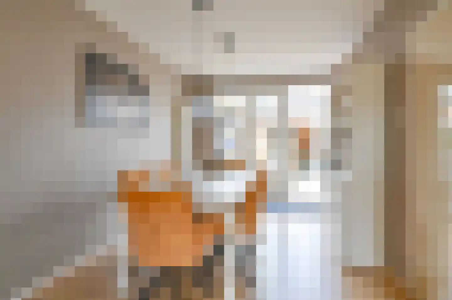 Buizerdlaan 123 Hoogeveen thumbnail 11