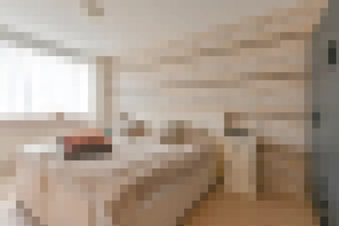 Buizerdlaan 123 Hoogeveen thumbnail 21