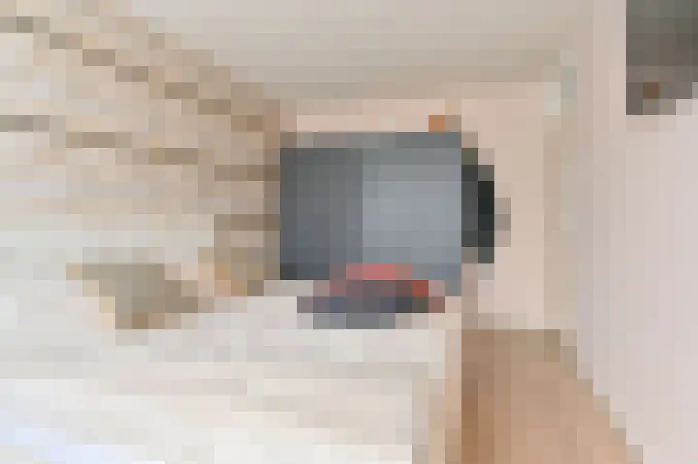 Buizerdlaan 123 Hoogeveen thumbnail 22