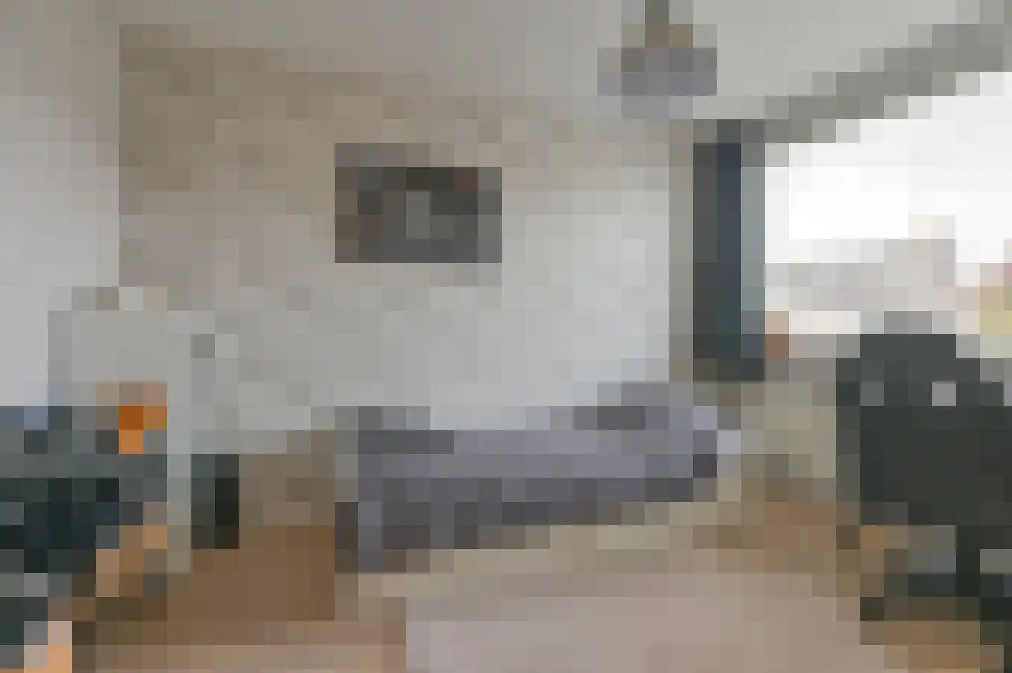 Buizerdlaan 123 Hoogeveen thumbnail 23
