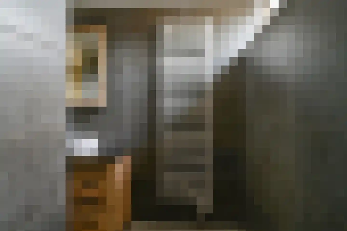 Buizerdlaan 123 Hoogeveen thumbnail 29