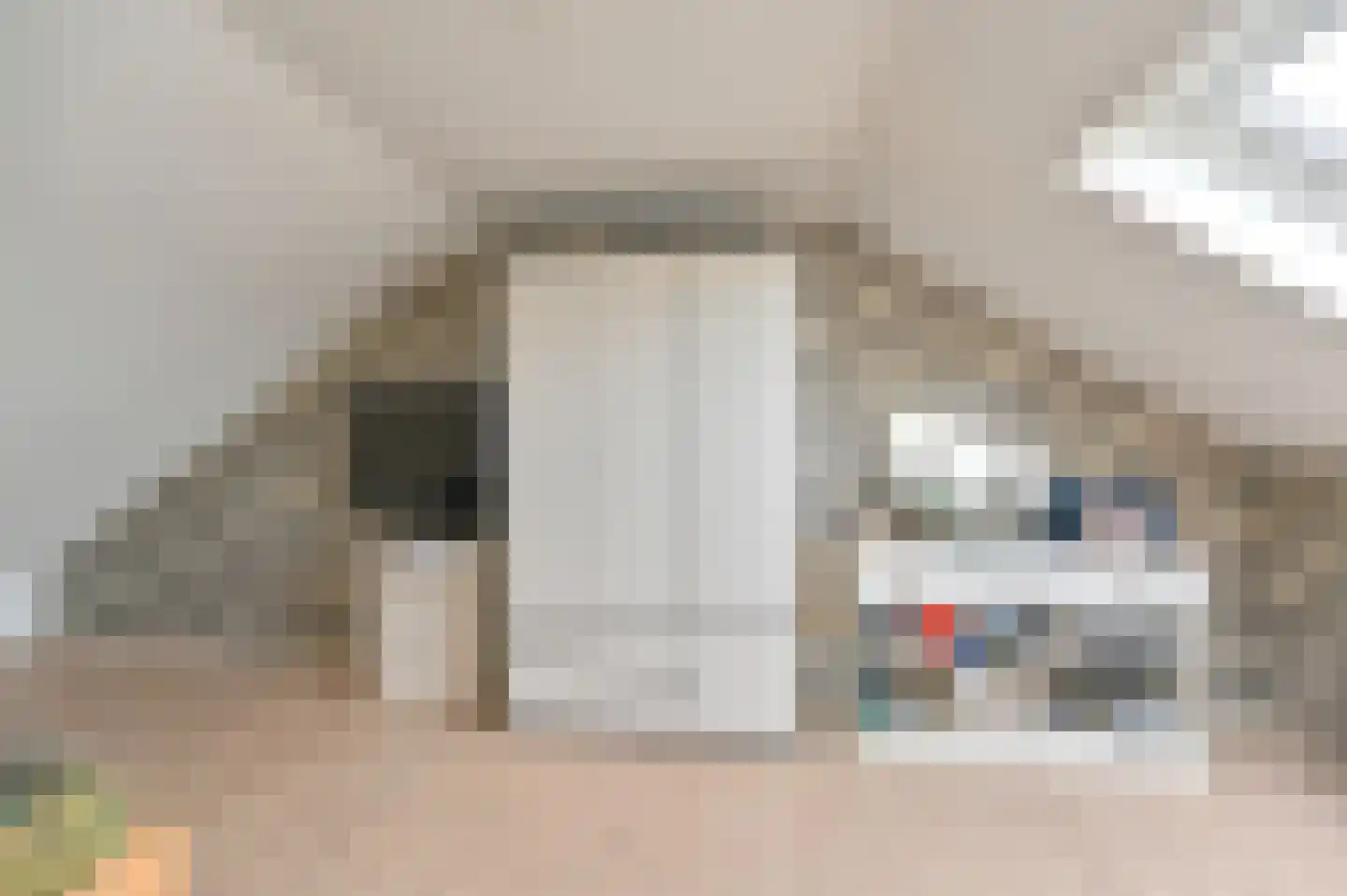 Buizerdlaan 123 Hoogeveen thumbnail 34