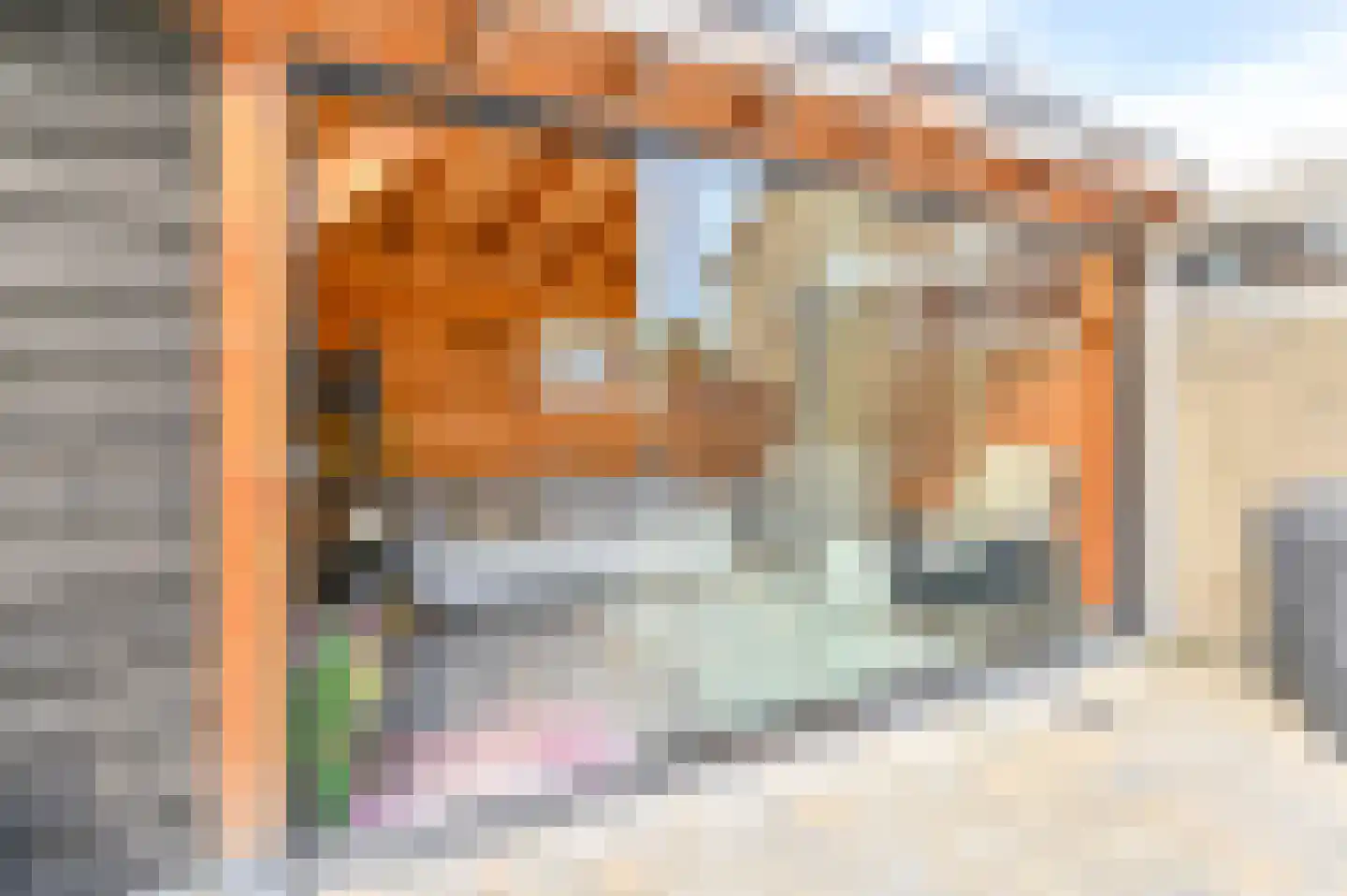 Buizerdlaan 123 Hoogeveen thumbnail 39