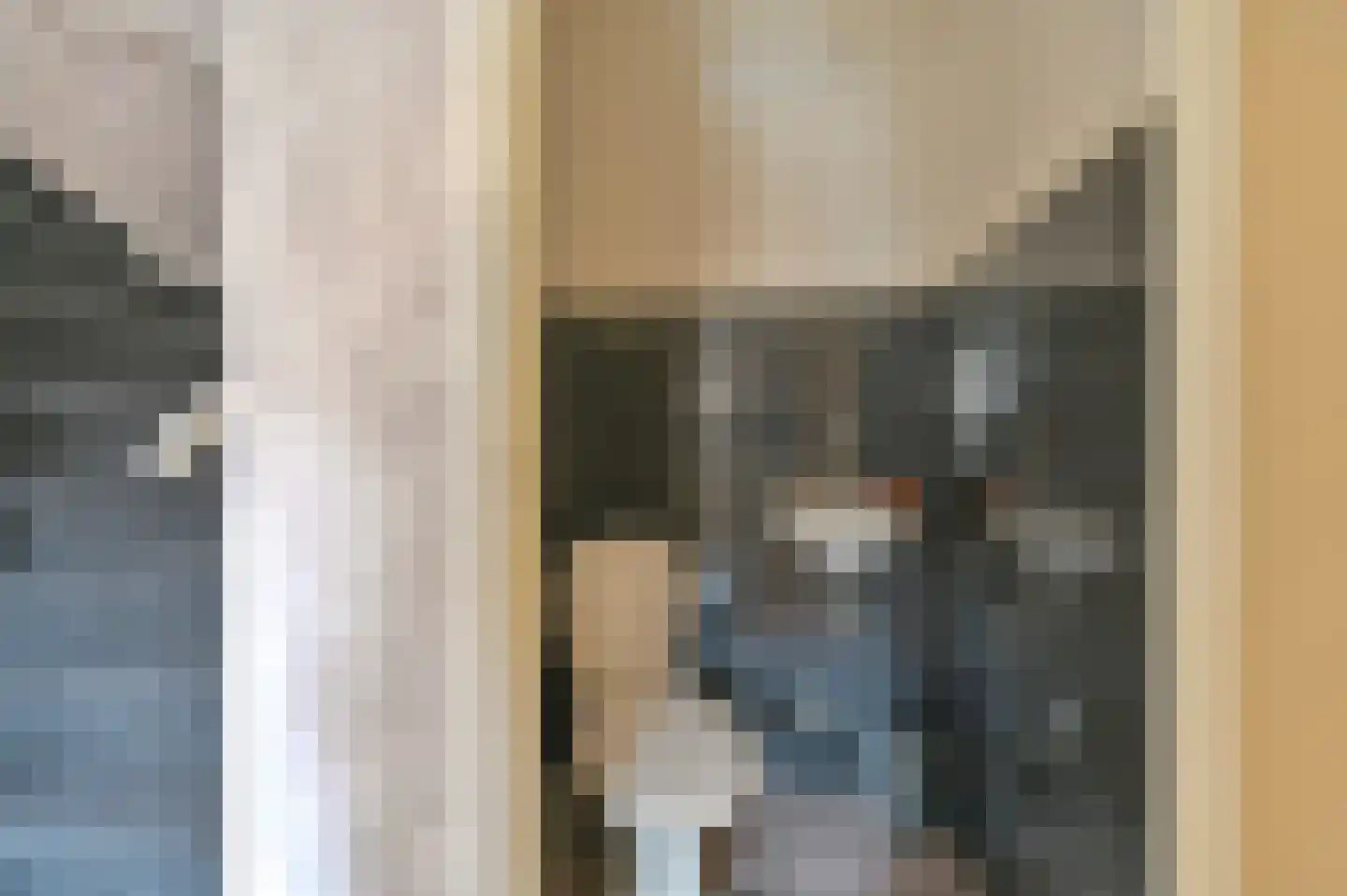 Buizerdlaan 123 Hoogeveen thumbnail 4