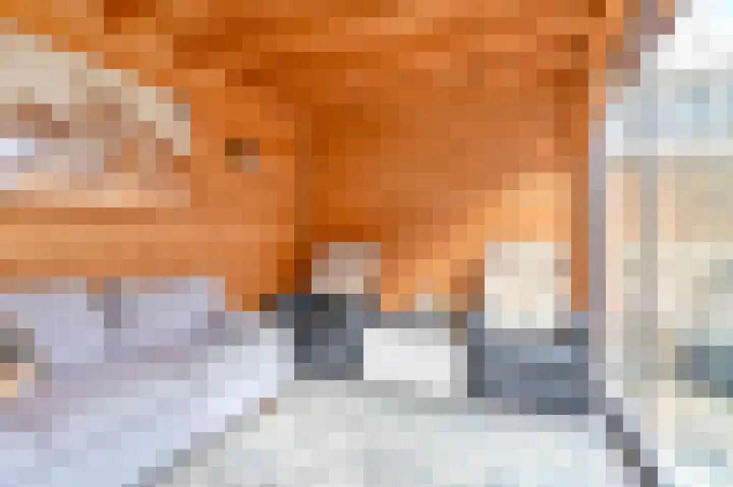 Buizerdlaan 123 Hoogeveen thumbnail 40