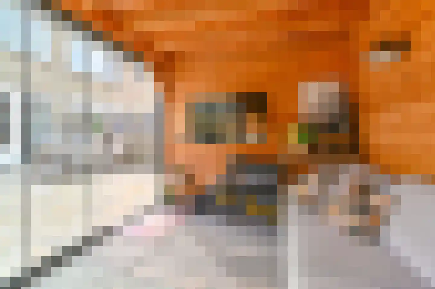 Buizerdlaan 123 Hoogeveen thumbnail 41