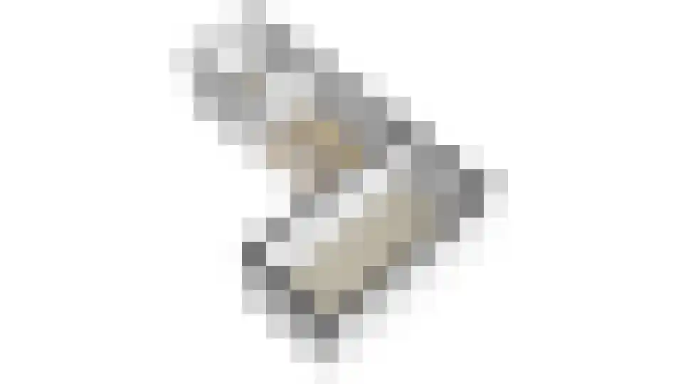 Buizerdlaan 123 Hoogeveen thumbnail 57