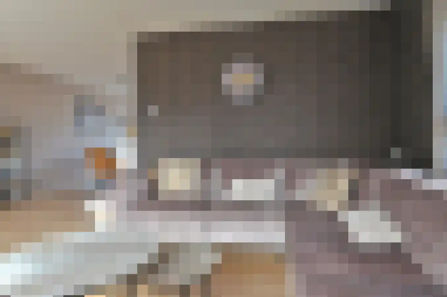 Buizerdlaan 123 Hoogeveen thumbnail 7