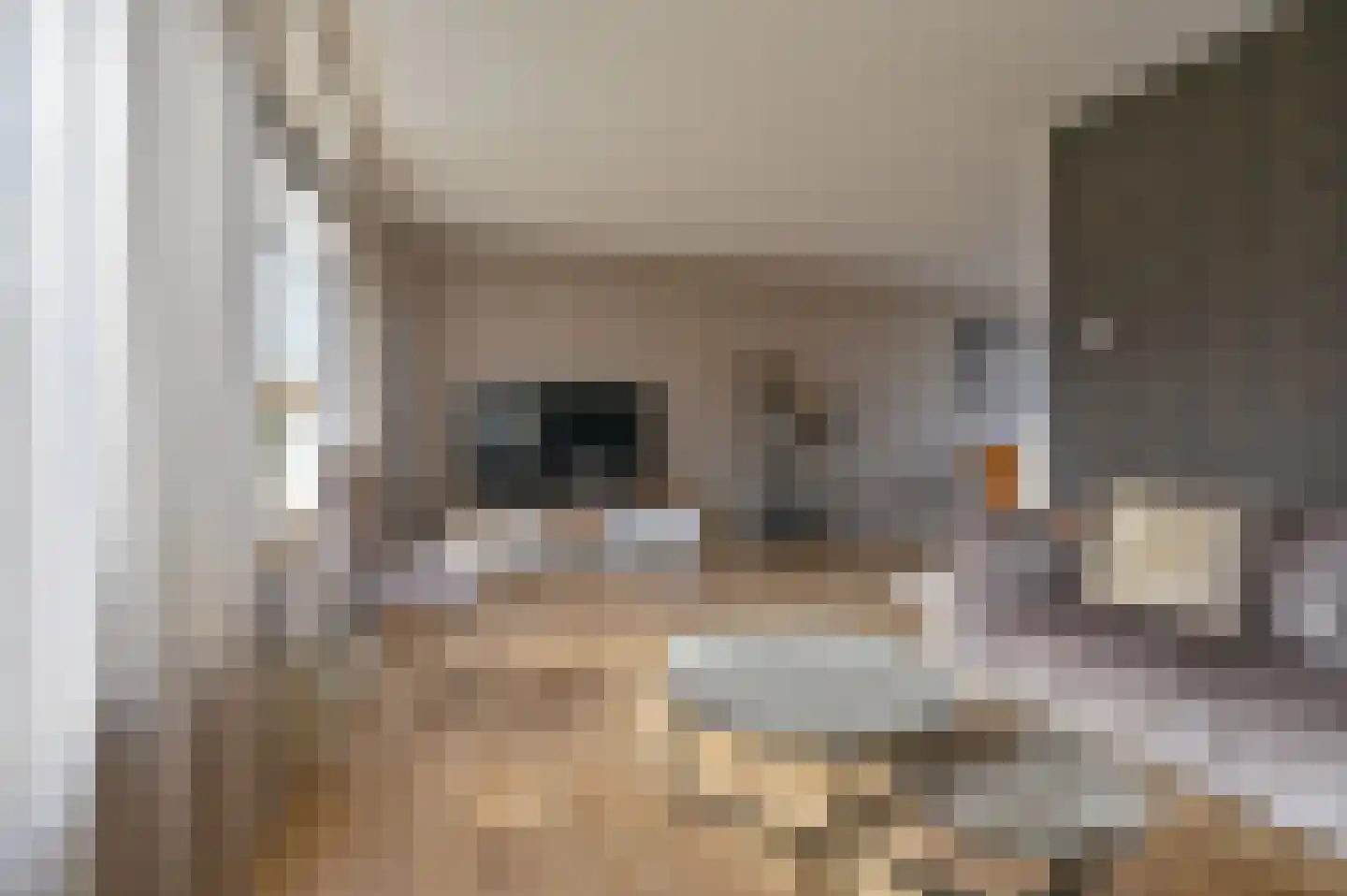 Buizerdlaan 123 Hoogeveen thumbnail 8