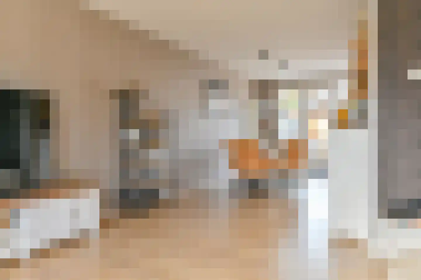 Buizerdlaan 123 Hoogeveen thumbnail 9