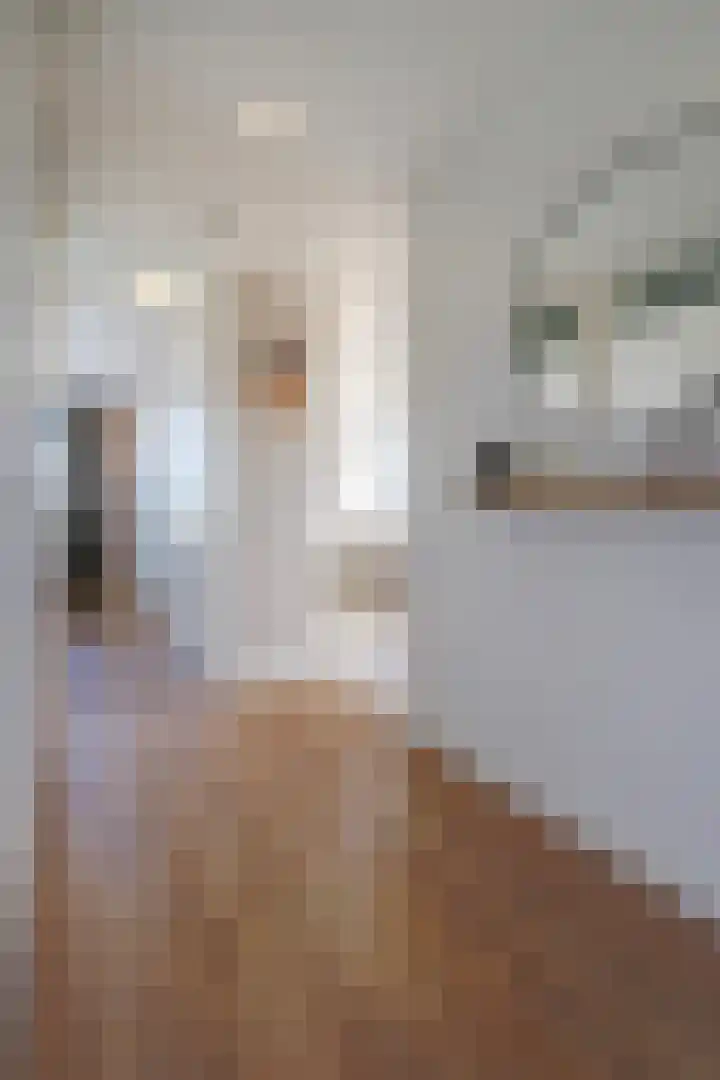 Buizerdlaan 127 Delft thumbnail 11