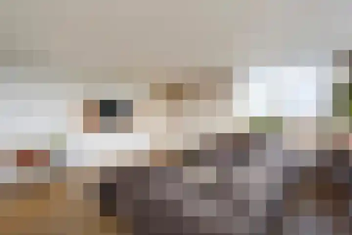 Buizerdlaan 127 Delft thumbnail 19