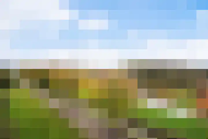 Buizerdlaan 127 Delft thumbnail 24