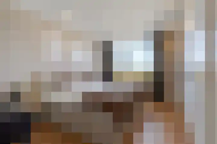Buizerdlaan 127 Delft thumbnail 27