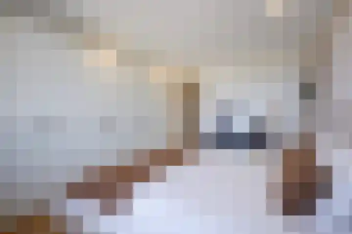 Buizerdlaan 127 Delft thumbnail 29