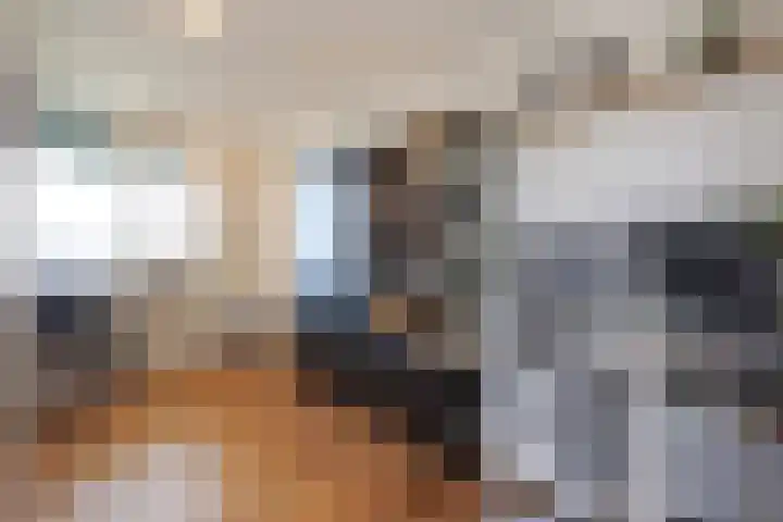 Buizerdlaan 127 Delft thumbnail 34