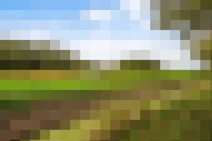 Buizerdlaan 127 Delft thumbnail 36