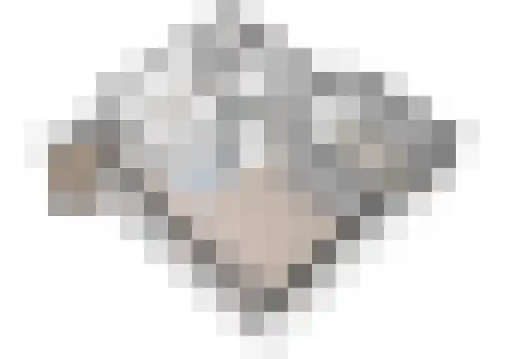 Buizerdlaan 127 Delft thumbnail 38