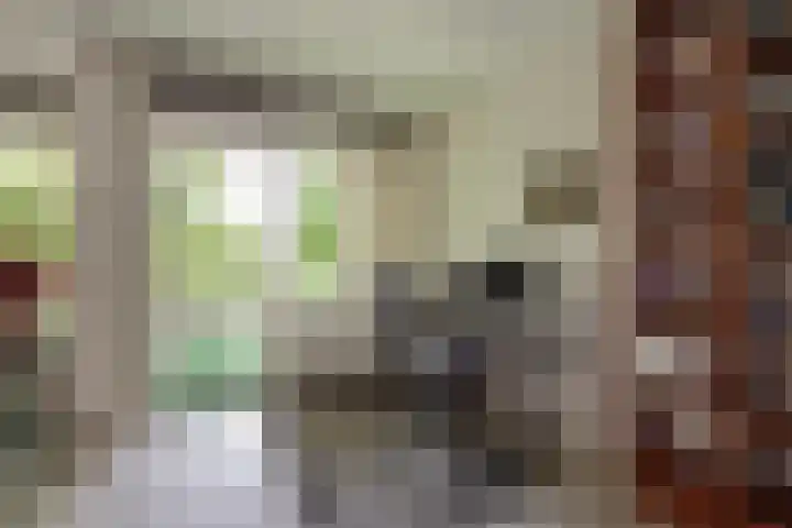 Buizerdlaan 163 Leidschendam thumbnail 12