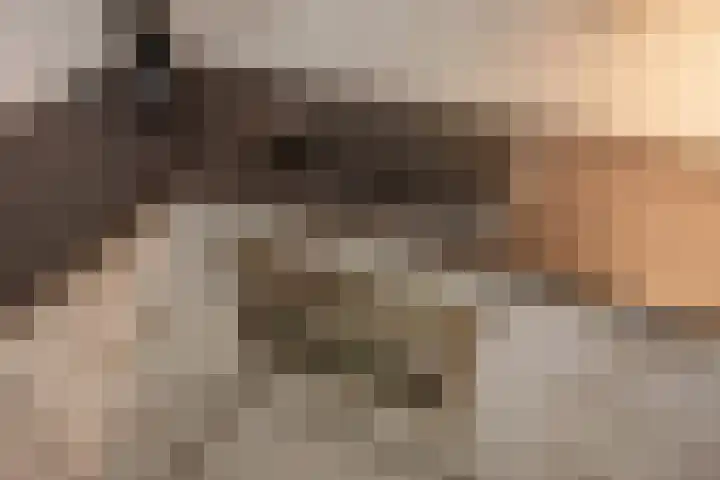 Buizerdlaan 163 Leidschendam thumbnail 15