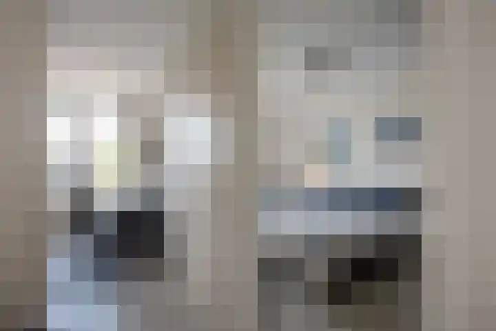 Buizerdlaan 163 Leidschendam thumbnail 17