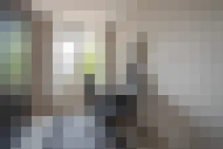 Buizerdlaan 163 Leidschendam thumbnail 21