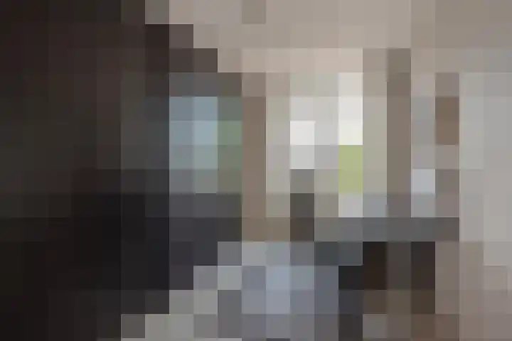 Buizerdlaan 163 Leidschendam thumbnail 22