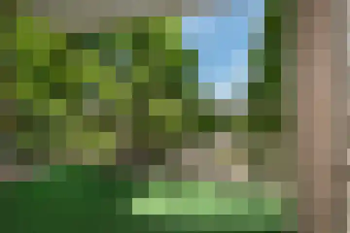 Buizerdlaan 163 Leidschendam thumbnail 26