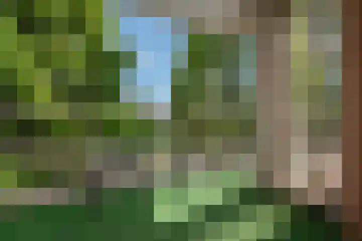 Buizerdlaan 163 Leidschendam thumbnail 27