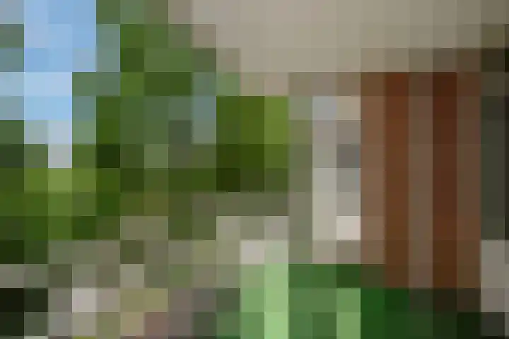 Buizerdlaan 163 Leidschendam thumbnail 28