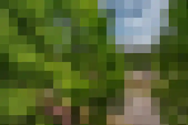 Buizerdlaan 163 Leidschendam thumbnail 29