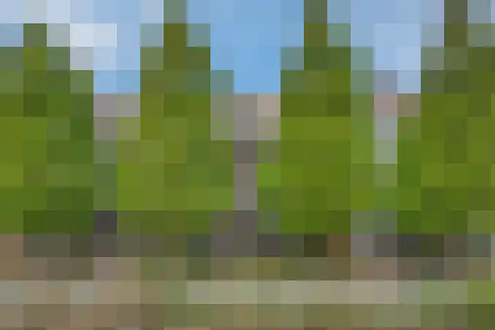 Buizerdlaan 163 Leidschendam thumbnail 30