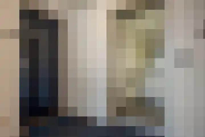 Buizerdlaan 163 Leidschendam thumbnail 4
