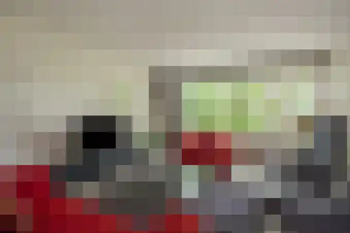 Buizerdlaan 163 Leidschendam thumbnail 8