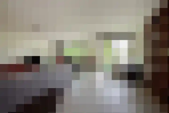 Buizerdlaan 163 Leidschendam thumbnail 9